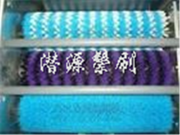 �����B(y��ng)ֳ�бP��ϴ�C(j��)ëˢ݁