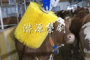 늄���ţ��Ħˢ